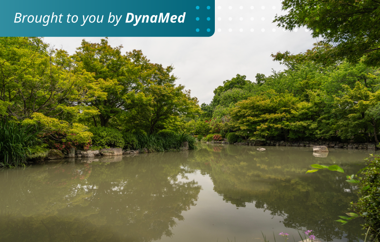 Image of a murky brown pond surrounded by green trees. 